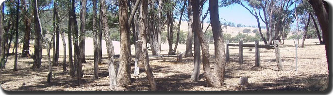 Barkly Old Cemetery