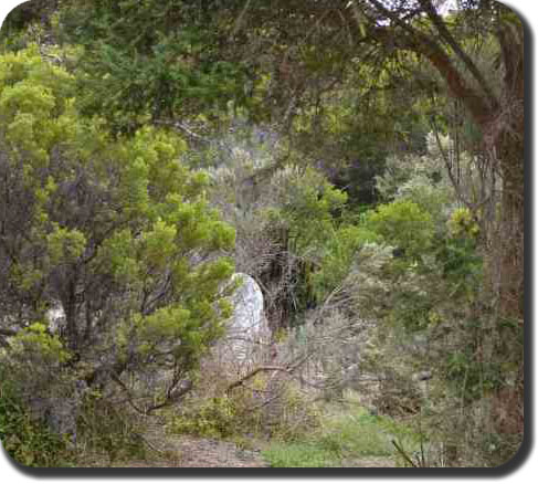 Port MacDonnell Lighthouse cemetery