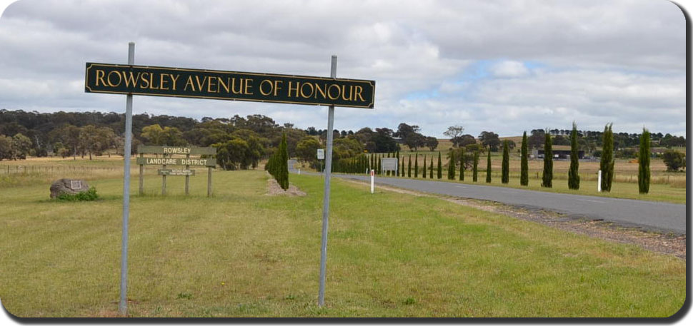 Rowsley avenue of honour