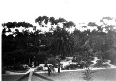 The Gardens from Top of Managers House