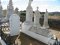 Various Longshot